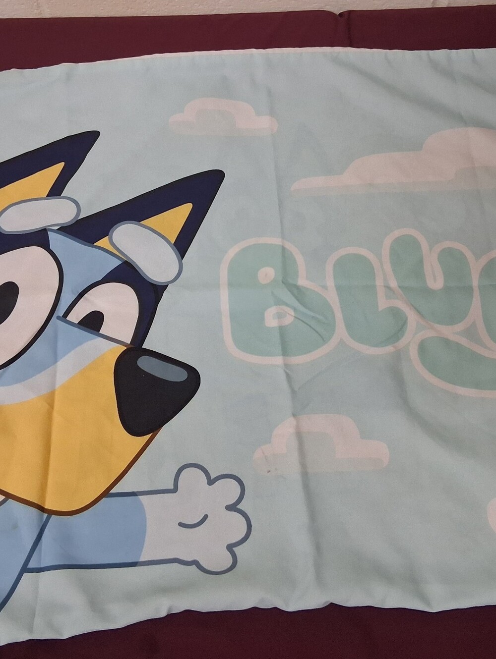 Bluey And Friends Standard Size Pillowcase